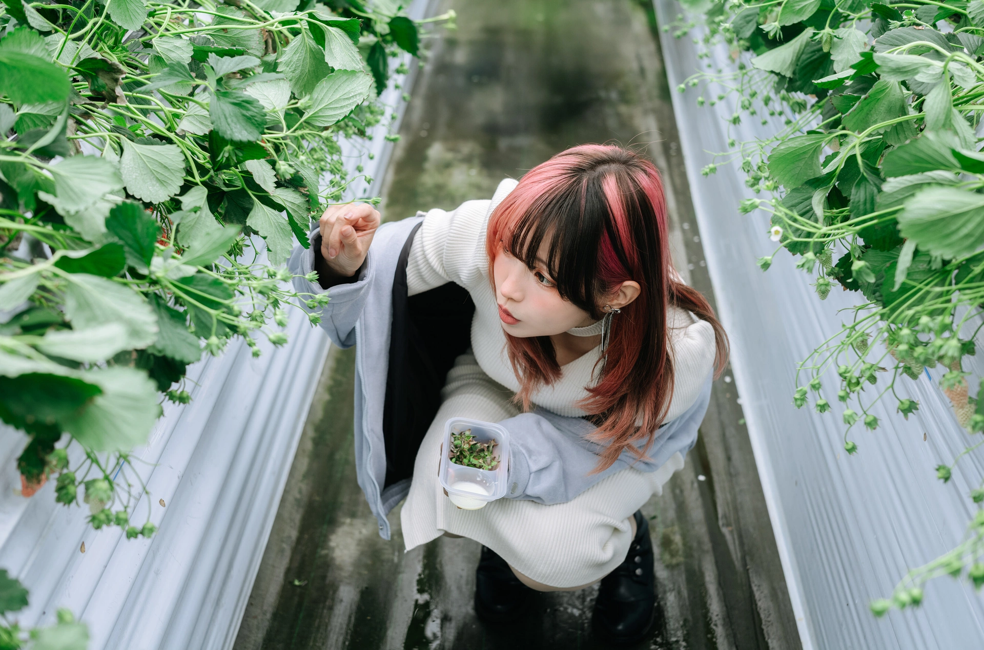 ElyEE子 – NO.211 2025年03月订阅 (3套) 1